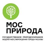 30 и 31 мая на берегу Царицынских прудов пройдет фестиваль воздушных змеев